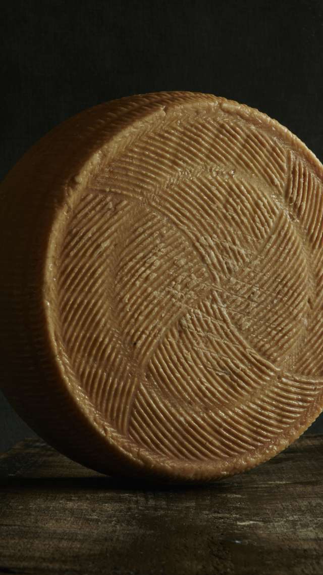 Zigerklee