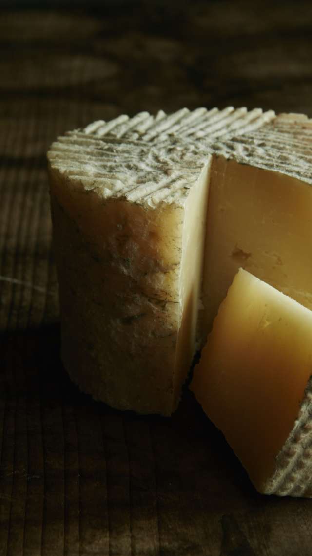 Crolino