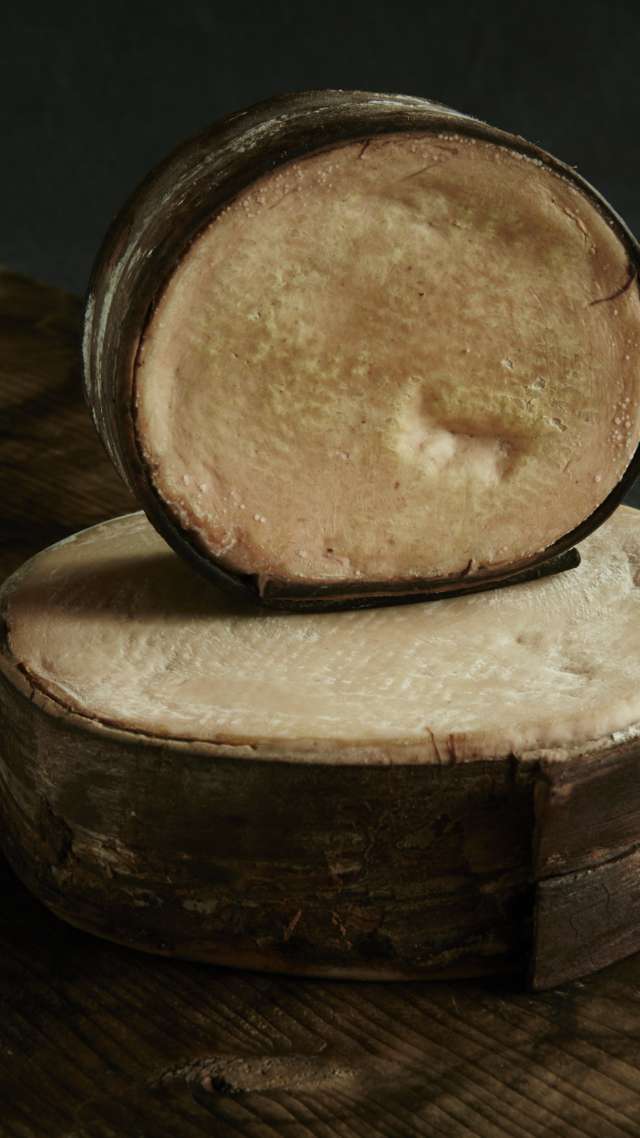 Bergfichte