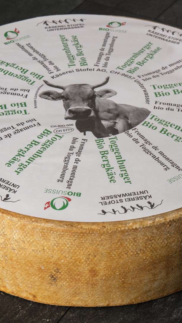 Toggenburger Bergkäse BIO