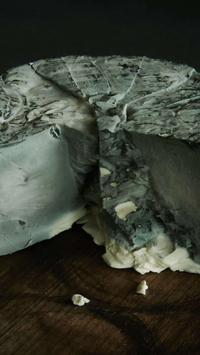Blauer Büffel