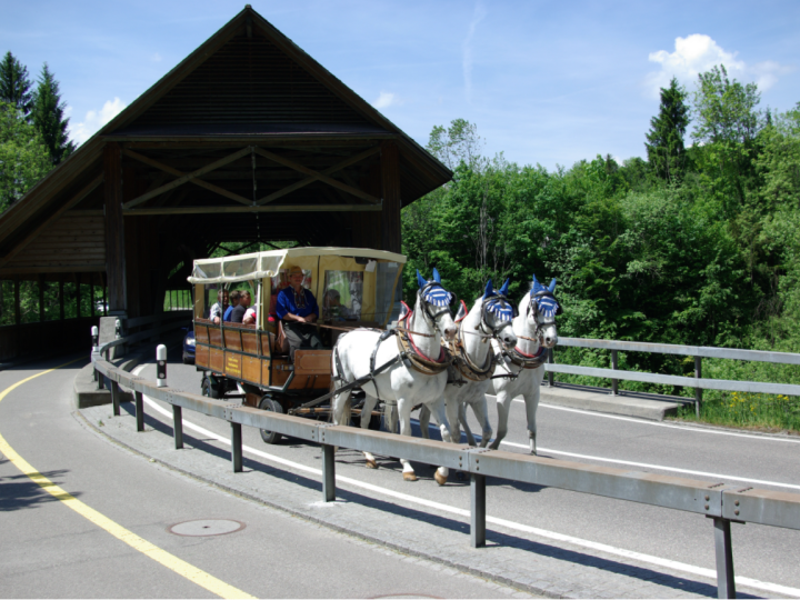 Kutschen- und Gesellschaftsfahrten Scherrer