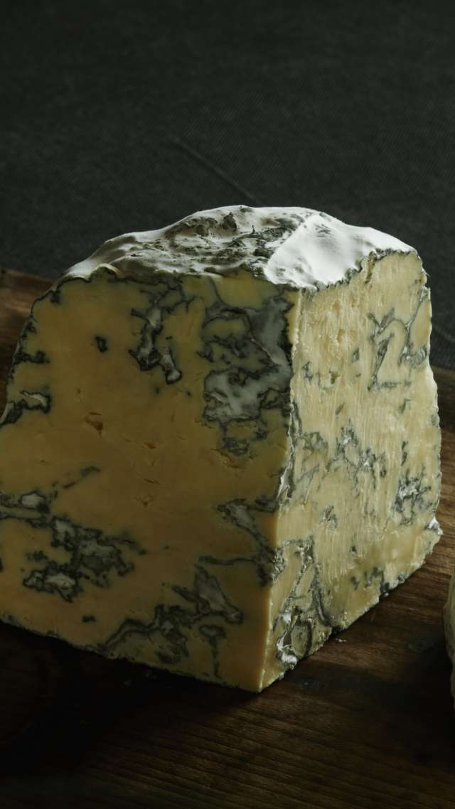 Jersey Blue